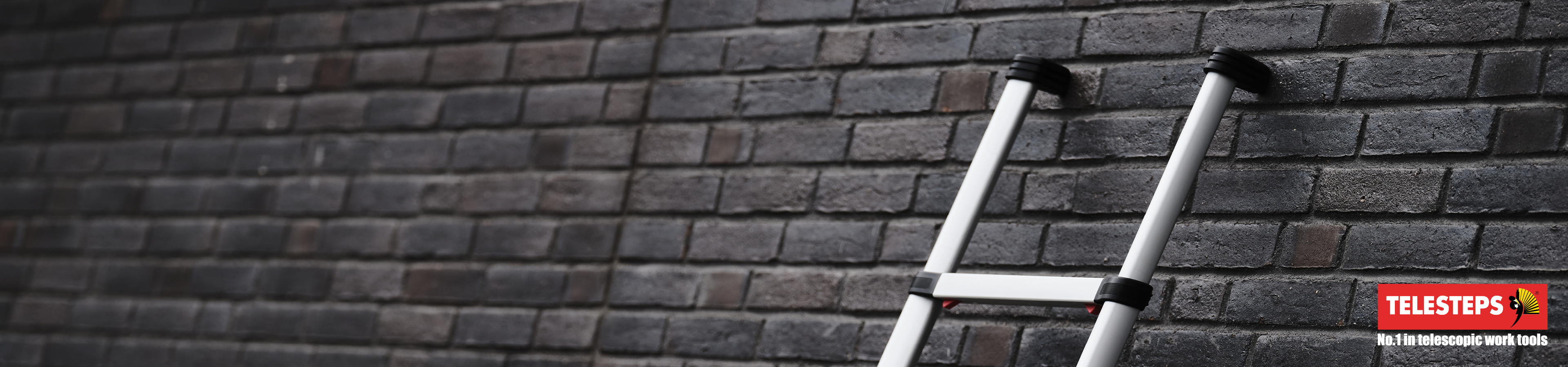id_pic_cms_banner_seite_telesteps_4b_mig_redesign_3840x900px